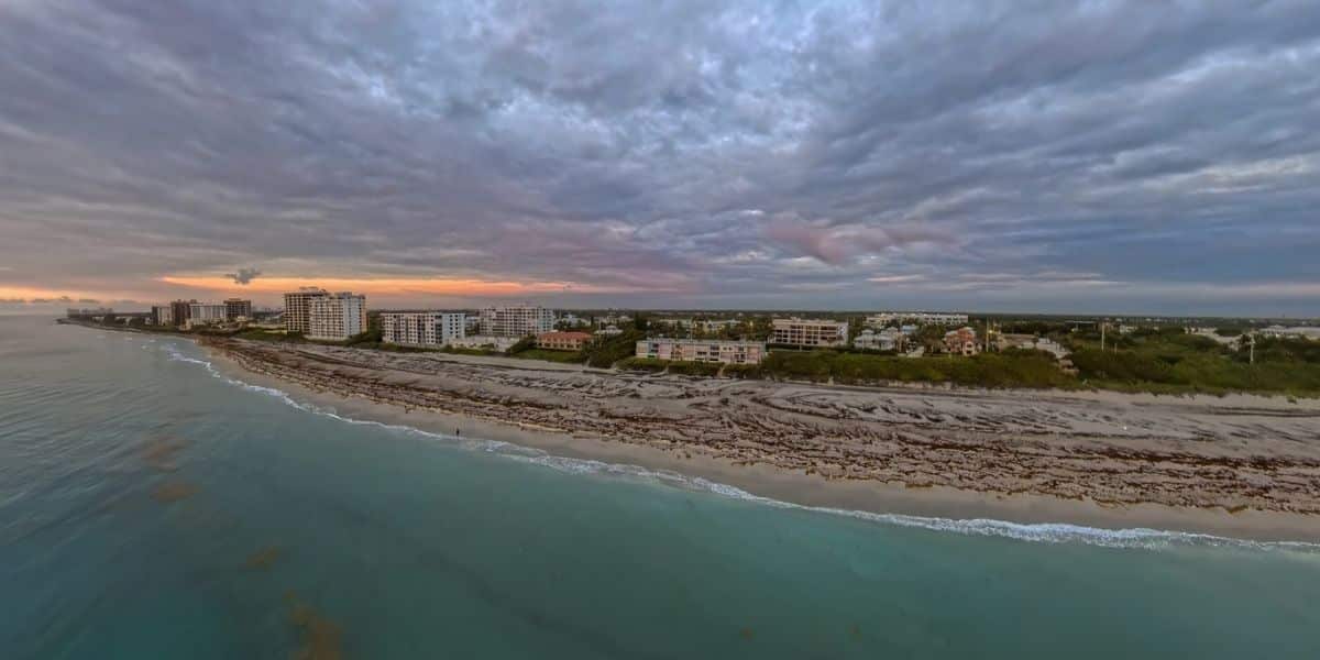 Concierge Moving Services in Juno Beach & Tequesta - Palm Beach Organized